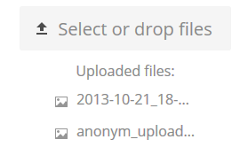List of successfully uploaded files