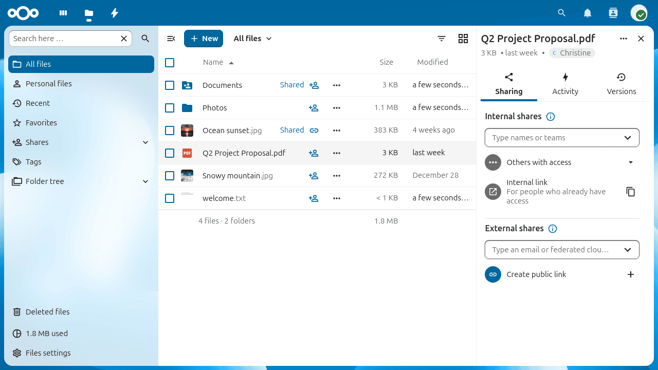 The details sidebar showing file information and tabs.